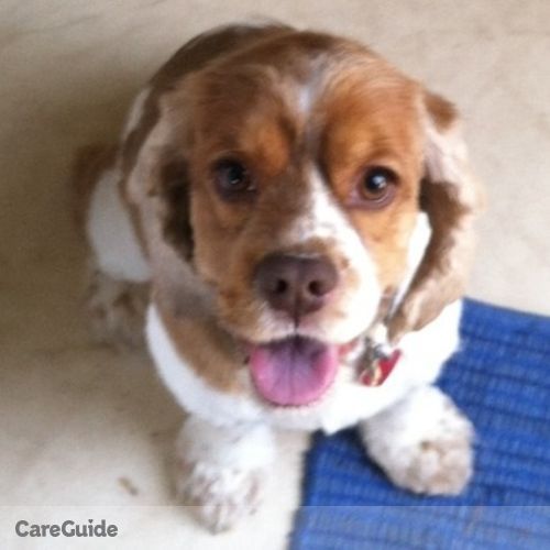 Pet Care Job Thomas A's Profile Picture