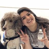 Seeking a Home Carer/Pet Care Job in Yuma, Arizona