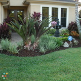 Professional Landscape & Lawn Services