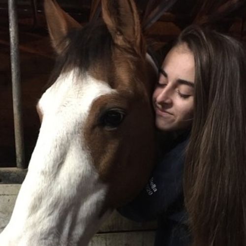 Pet Care Provider Annabella B's Profile Picture