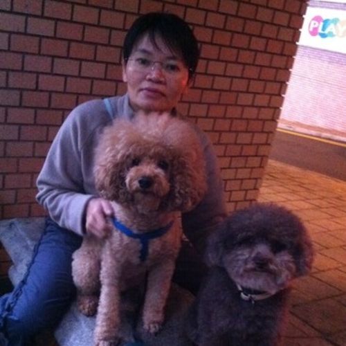 Pet Care Provider Kristiany K's Profile Picture