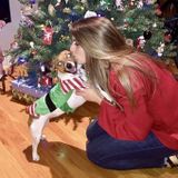 Active and engaging pet sitter available!