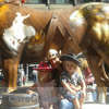 Long term available Nanny