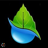 Odor and Bug Extermination