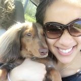 Responsible House and Dog Sitter Available Today!