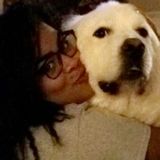Looking to dog/cat sit