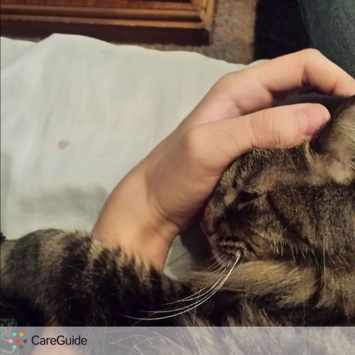 Pet Care Provider Blake R's Profile Picture