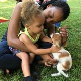 Qualified Dog Sitter in Jackson!
