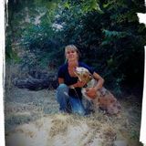 Canine Specialist