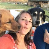 Home/ Pet sitting Offered in Salem
