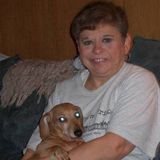 Sitter: pets, children, seniors,companion, light housekeeping, etc.