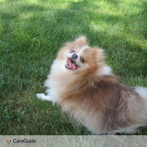 Pet Care Provider Paige S's Profile Picture