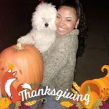Caring Pet Service Provider in Beverly Hills. Available for Hire Imediately