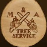 Maintain the Health and Beauty of Your Trees