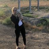 Seeking San Diego House sitter services
