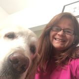 Sanford Animal Lover Searching for Work in Florida