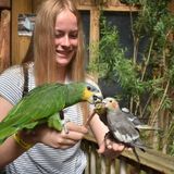 Animal lover looking for a fun job on the side