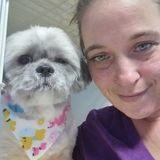 Interviewing For a dog walker& grooming opportunity