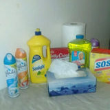 Needed: VARIOUS HOME CLEANER.