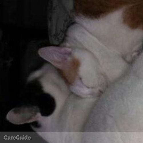 Pet Care Provider Tina C's Profile Picture