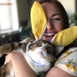 Pet sitter available