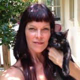 Professional pet care provider for over 10 years