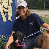Boarding Kennel Employee You Can Trust!