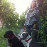 Toronto Animal (cats, dogs, furry critters and reptiles) Sitter Available For Being Hired