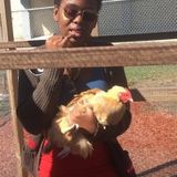 Available For a Dog Trainer Opportunity in Daytona Beach