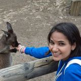 Bilingual, very creative, Nanny and Tutor