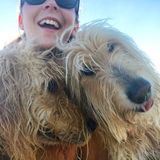 Miami Pet Sitter Available For Work