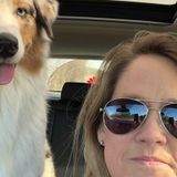 Certified Canine Massage Practitioner, Experience Pet Care Provider offering Pet Sitting and Boarding