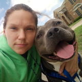 Reliable Dog walker, care taker Professional