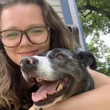 Leander Pet Sitting Professional Looking For Work