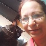 Flexible Cat Sitter in Miami Gardens, Florida
