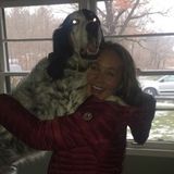 Part-time Housesitting/Pet Care