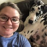 Fort Worth/ Eagle Mountain-Saginaw Dog Trainer Searching for New Clients