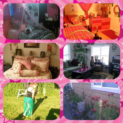 House Sitter Provider Lindsey Cook's Profile Picture
