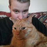 Pet Sitting Offered in Maryville
