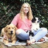 Pet Sitter and Dog Walker in Portage
