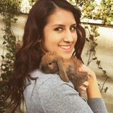 Animal lover