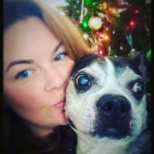 Pet Care Provider Brianne C's Profile Picture