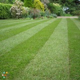 Ryan's Lawn & Landscape