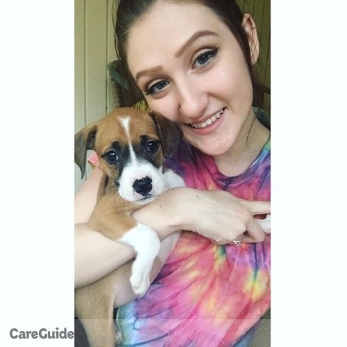 Pet Care Provider Deana M's Profile Picture