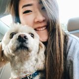 Pet Sitting, Dog Walking