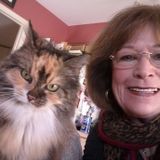 Pet Care Peace of Mind