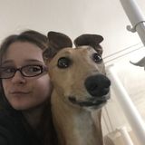 For Hire: Dedicated Pet and House Caretaker in Folsom, California