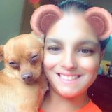Dog Walking Offered in Haledon