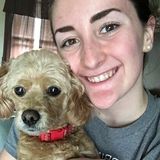 For Hire: Hard Working Pet Sitter in Camp Hill/Harrisburg
