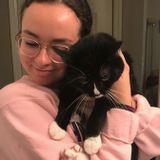 Pet Sitter for Cleveland/Chattanooga, TN